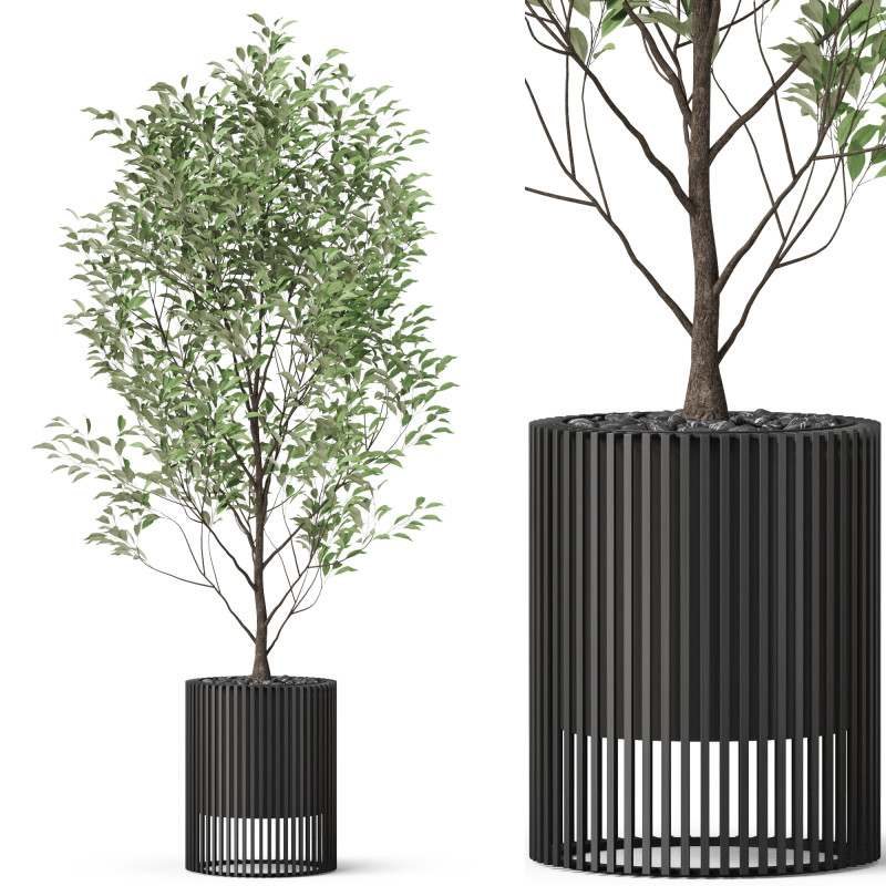 Plants collection 868 3D Модель .c4d .max .obj .3ds .fbx .stl .blend