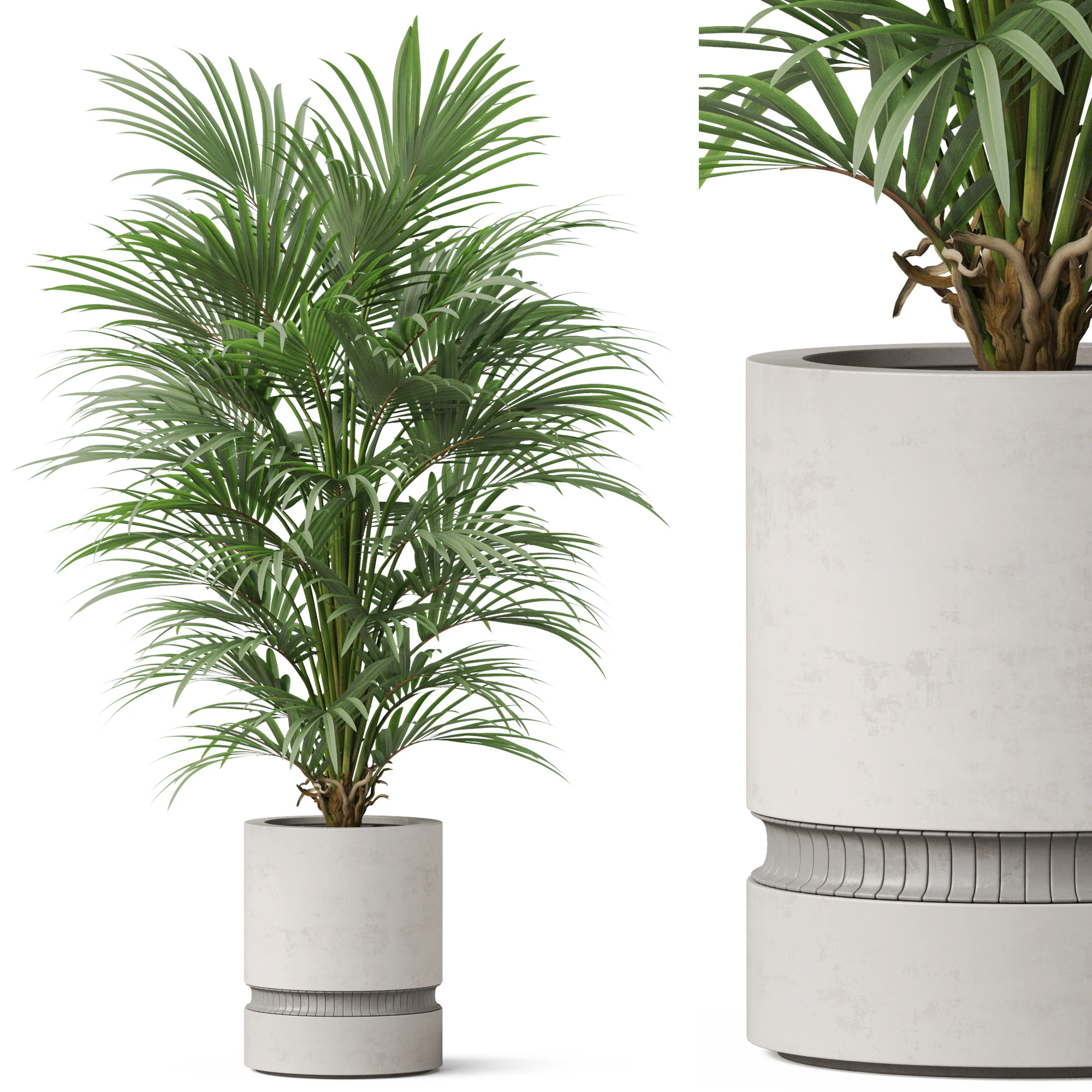 Plants collection 869 3D Model .c4d .max .obj .3ds .fbx .stl .blend 