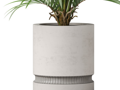 Plants collection 869 Model 3D