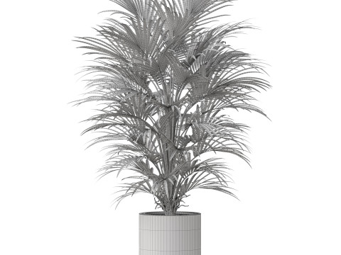 Plants collection 869 Model 3D
