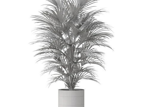 Plants collection 869 3D Model