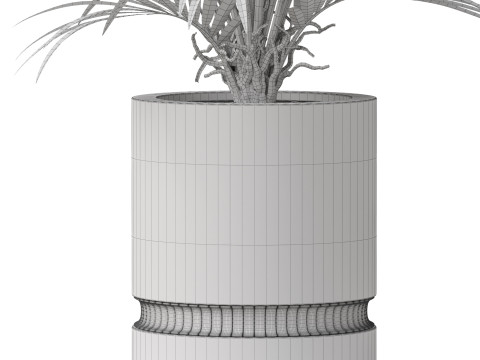 Plants collection 869 Model 3D