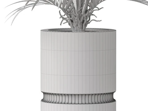 Plants collection 869 3D Model