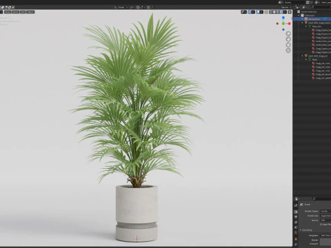 Plants collection 869 3D Model