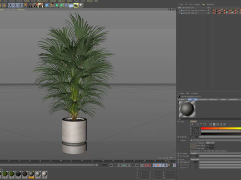 Plants collection 869 3D Model