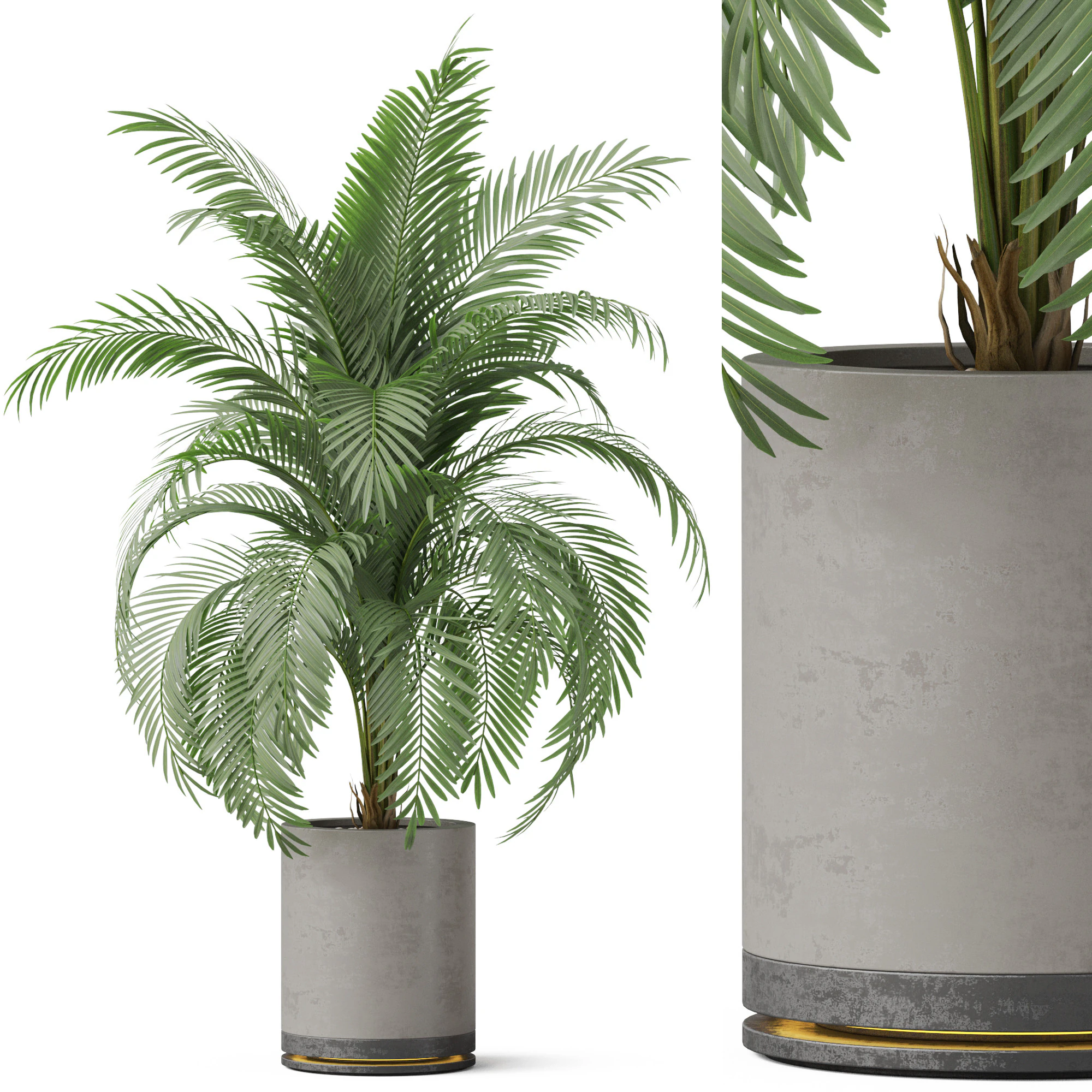 Plants collection 870 3D Model .c4d .max .obj .3ds .fbx .stl .blend 