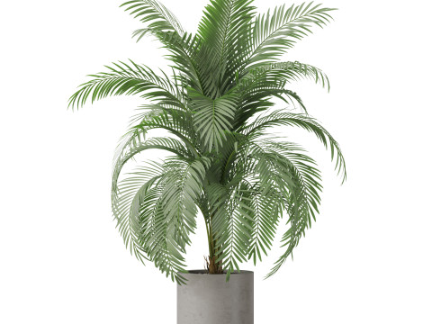 Plants collection 870 3D Модель