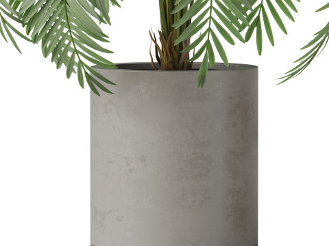 Plants collection 870 3D Модель