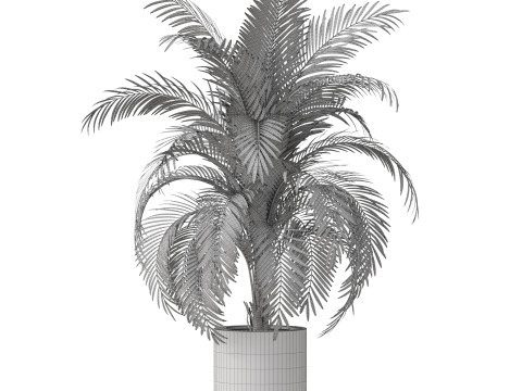 Plants collection 870 3D Модель