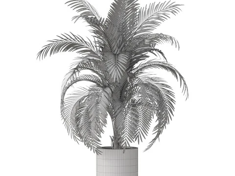Plants collection 870 3D Model
