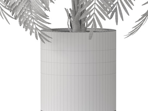 Plants collection 870 3D Модель