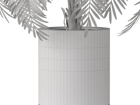 Plants collection 870 3D Model