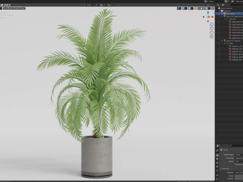 Plants collection 870 3D Model