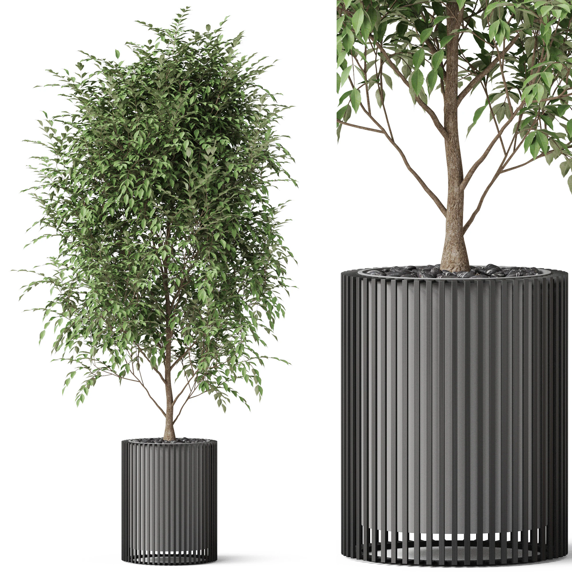 Plants collection 871 3D Model .c4d .max .obj .3ds .fbx .stl .blend 