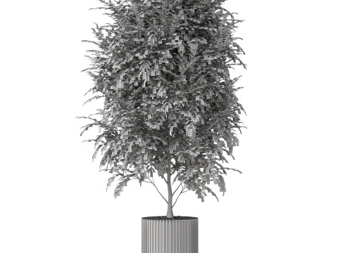 Plants collection 871 Model 3D