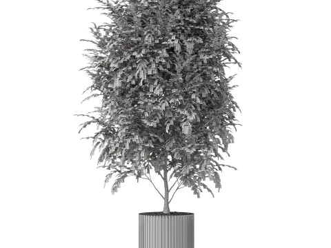 Plants collection 871 3D Model