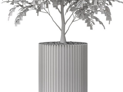 Plants collection 871 Model 3D