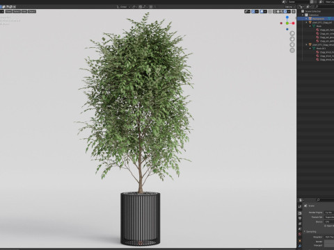 Plants collection 871 Model 3D