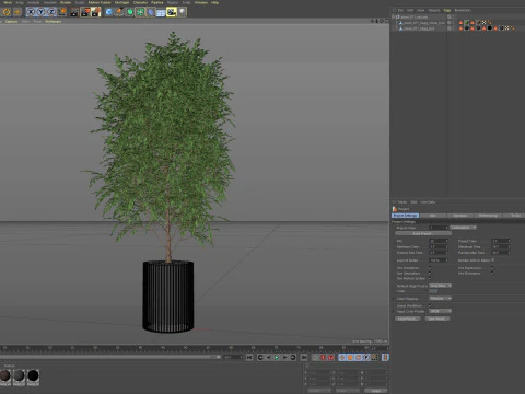Plants collection 871 3D Model