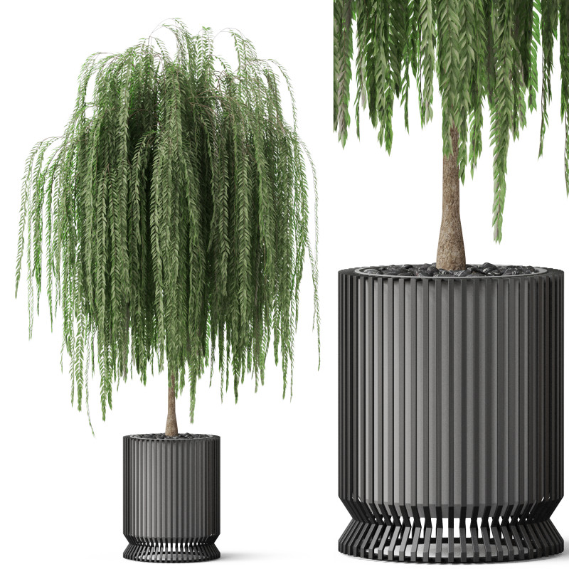 Plants collection 872 3D Model .c4d .max .obj .3ds .fbx .stl .blend