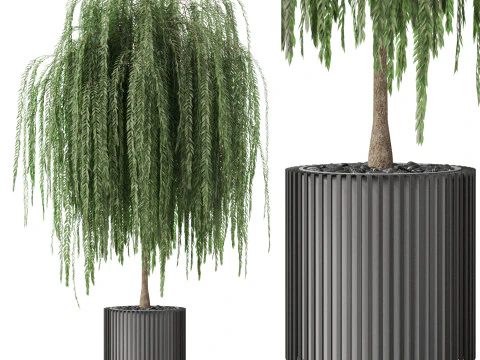 Kolekcja roślin 872 Model 3D