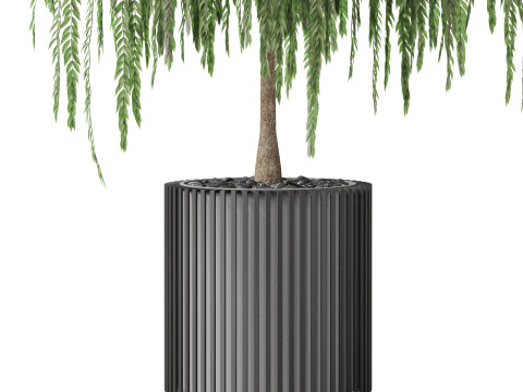 Plants collection 872 3D Model