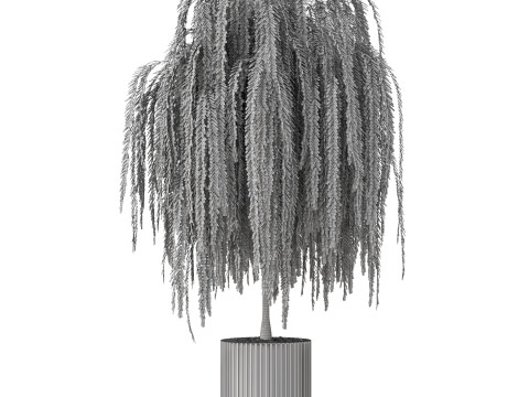 Plants collection 872 3D Model