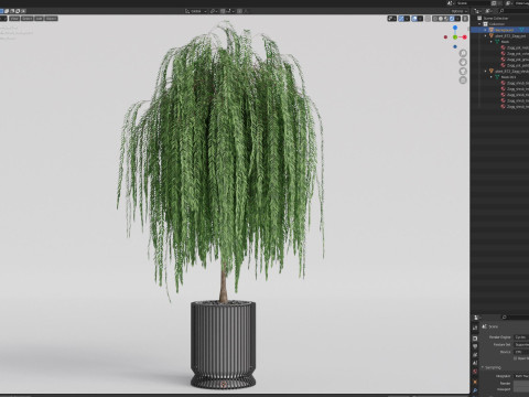 Plants collection 872 3D Model