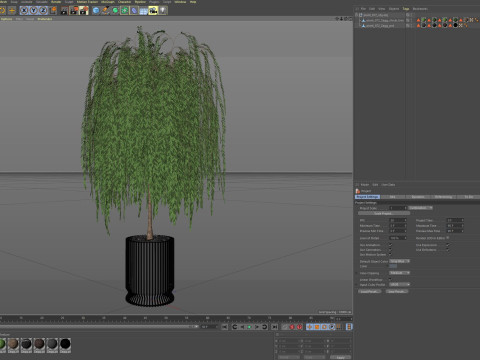 Plants collection 872 3D Model