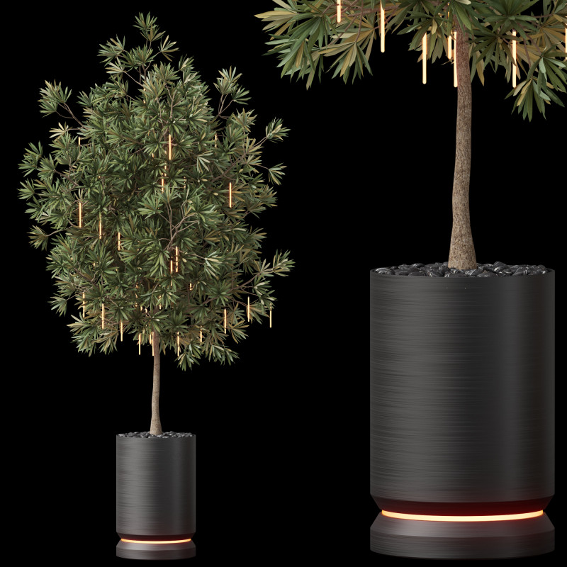 Plants collection 873 3D-Modell .c4d .max .obj .3ds .fbx .stl .blend