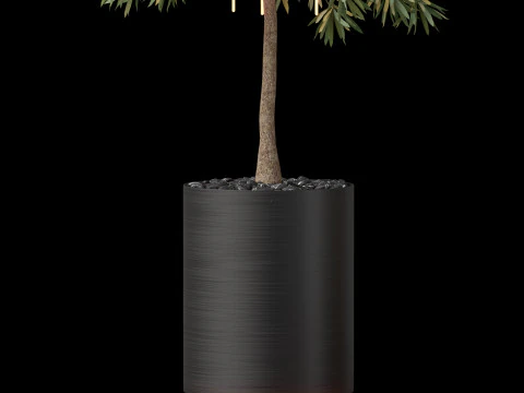 Plants collection 873 3D Model