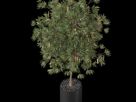 Plants collection 873 3D-Modell