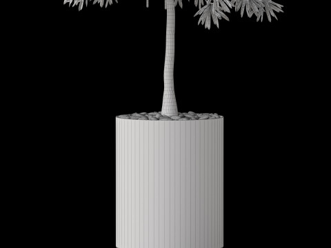 Plants collection 873 3D-Modell
