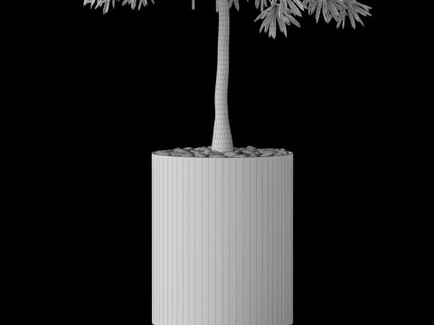 Plants collection 873 3D Model