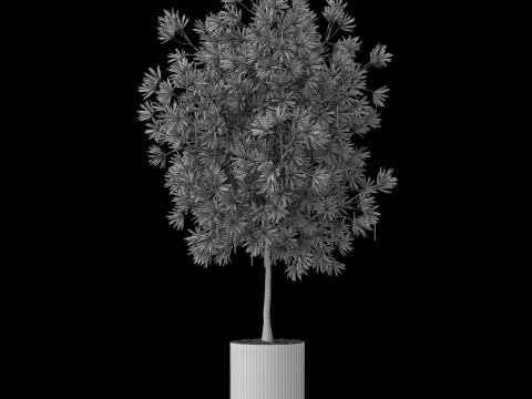 Plants collection 873 3D-Modell