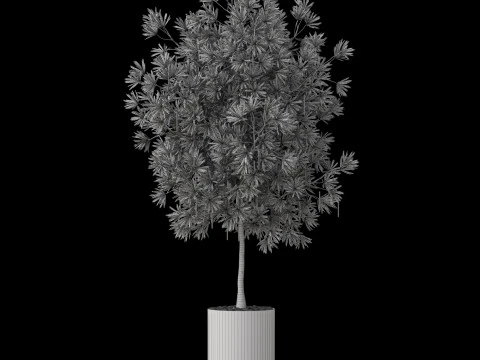 Plants collection 873 3D Model