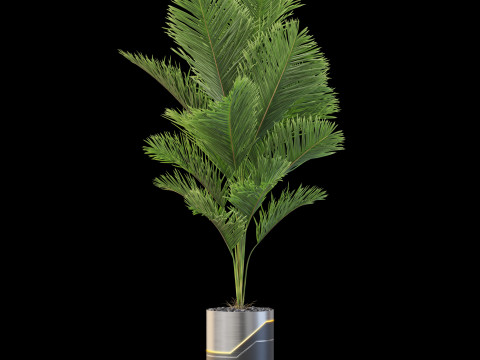 Plants collection 874 3Dモデル