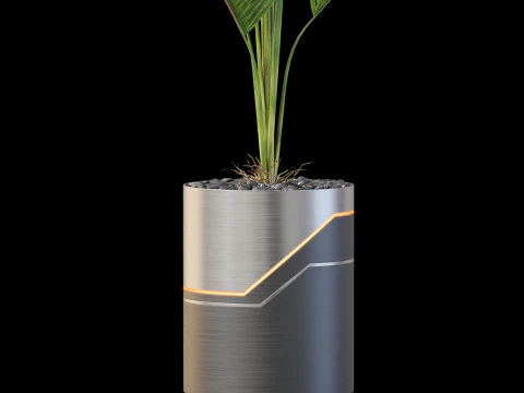 Collezione piante 874 Modello 3D