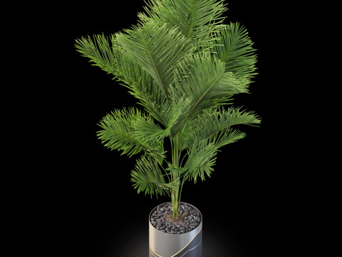 Plants collection 874 3Dモデル