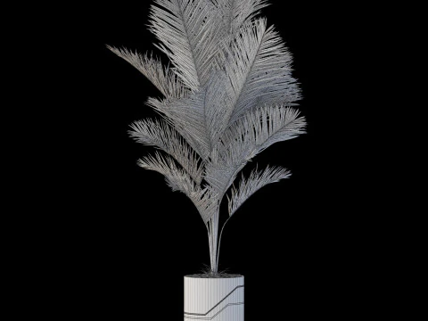 Collezione piante 874 Modello 3D