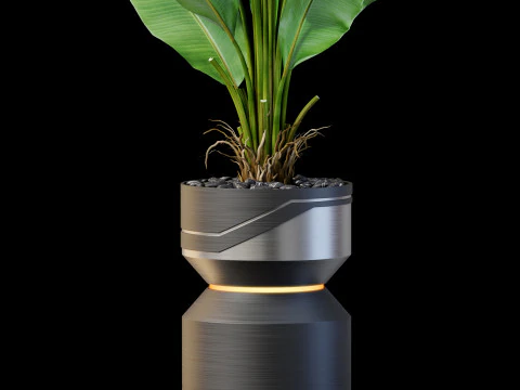 Collezione piante 875 Modello 3D