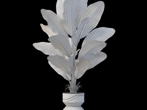 Collezione piante 875 Modello 3D