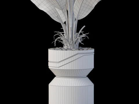 Collezione piante 875 Modello 3D