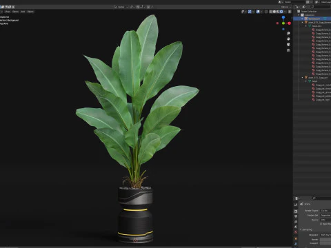 Collezione piante 875 Modello 3D