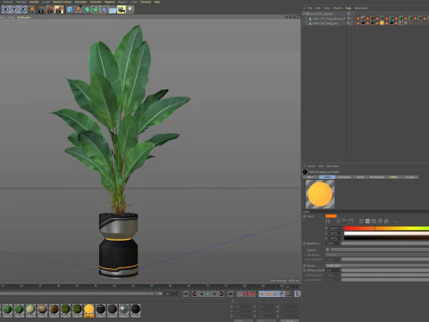 Collezione piante 875 Modello 3D