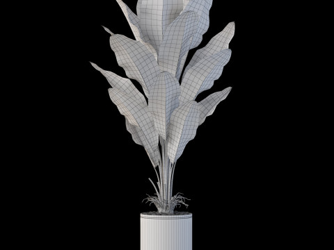 Plants collection 876 3D-Modell