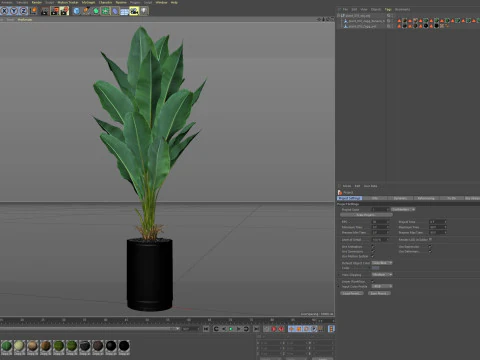 Plants collection 876 3D Model