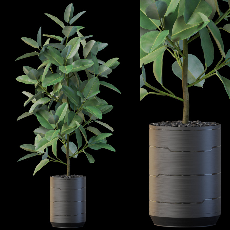Plants collection 877 3D Модель .c4d .max .obj .3ds .fbx .stl .blend