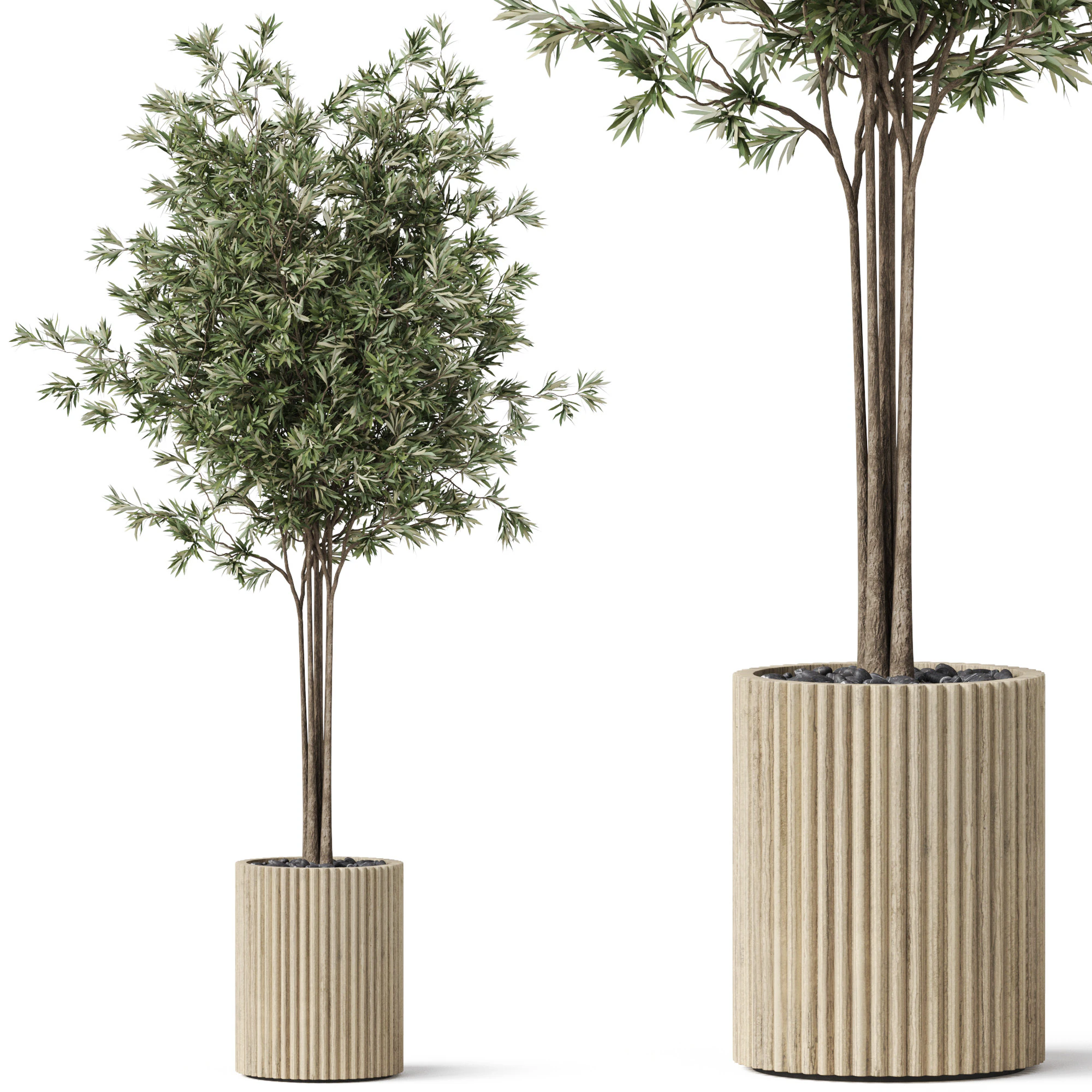 Plants collection 878 3D Model .c4d .max .obj .3ds .fbx .stl .blend 