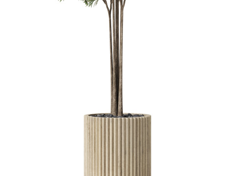 Plants collection 878 3D Model